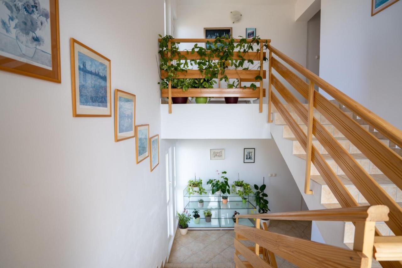 Apartments Valentin بريفلاكا المظهر الخارجي الصورة